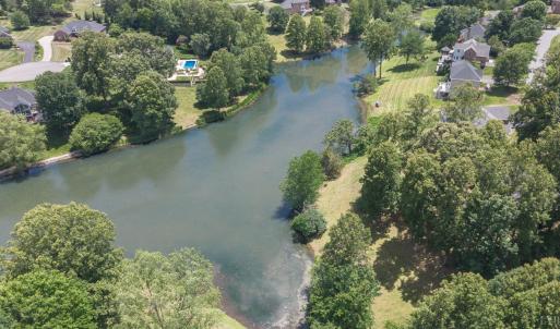 Photo #90 of 105 Cygnet Circle, Forest, VA 1.0 acres