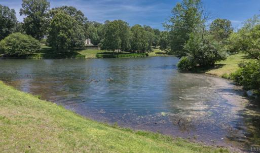 Photo #87 of 105 Cygnet Circle, Forest, VA 1.0 acres