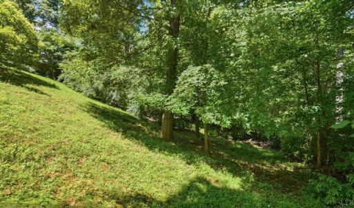 Photo #69 of 1819 Royal Oak Drive, Lynchburg, VA 1.1 acres