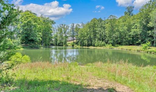 Photo #65 of 1316 Willow Oak Drive, Forest, VA 0.5 acres