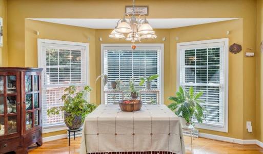 Photo #16 of 1064 Somers Way, Forest, VA 1.0 acres