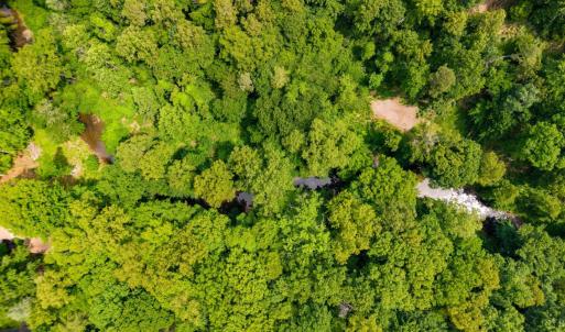 Photo #51 of 3605 Willow Lawn, Lynchburg, VA 4.2 acres