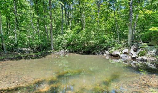 Photo #78 of 1272 Stoney Way, Bedford, VA 10.1 acres