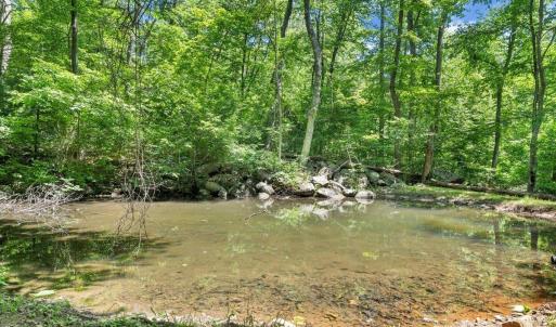 Photo #79 of 1272 Stoney Way, Bedford, VA 10.1 acres
