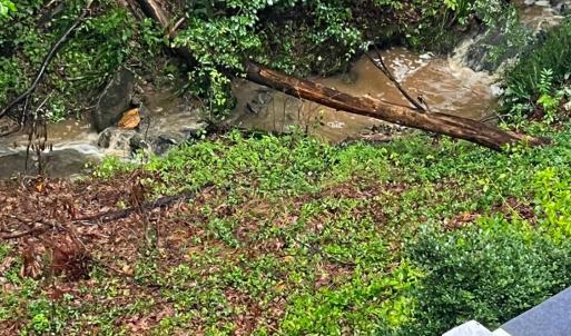 Photo #48 of 356 Juniper Drive, Lynchburg, VA 1.1 acres