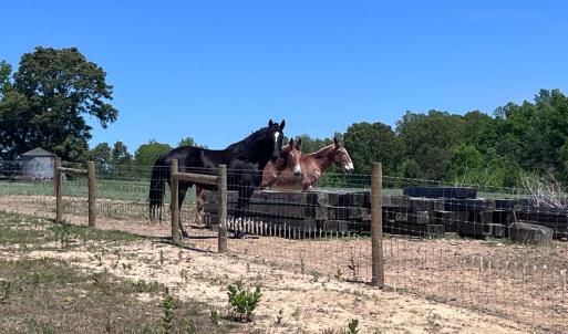 Photo #7 of 1 Whites Chapel Road, Phenix, VA 55.0 acres