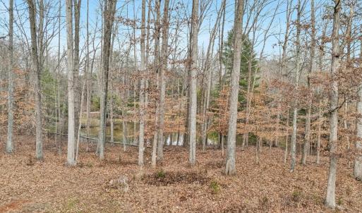Photo #49 of 1099 Rising Star Drive, Bedford, VA 5.0 acres