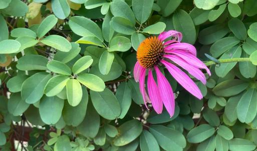 Photo #75 of 1099 Rising Star Drive, Bedford, VA 5.0 acres