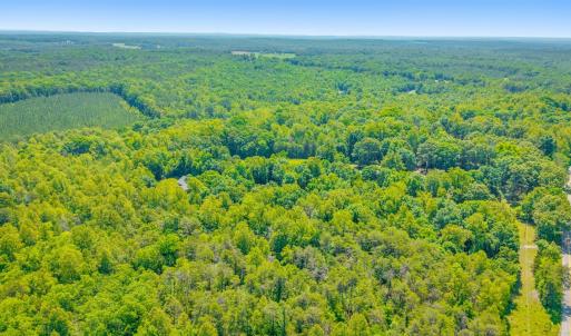 Photo #38 of 430 Watt Abbitt Road, Appomattox, VA 22.3 acres