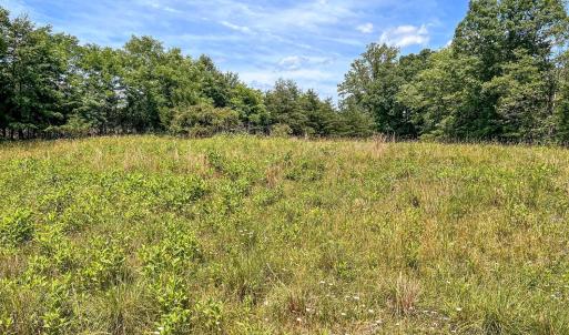 Photo #4 of 2050 High Peak Rd, Monroe, VA 10.0 acres