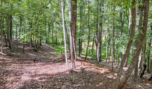 Photo #48 of 2050 High Peak Rd, Monroe, VA 10.0 acres