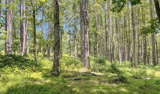 Photo #47 of 2050 High Peak Rd, Monroe, VA 10.0 acres