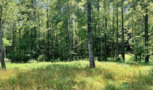Photo #43 of 2050 High Peak Rd, Monroe, VA 10.0 acres