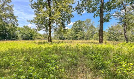Photo #46 of 2050 High Peak Rd, Monroe, VA 10.0 acres