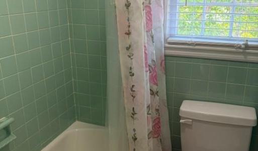 Photo #16 of 103 Idlebrook Drive, Madison Heights, VA 0.8 acres