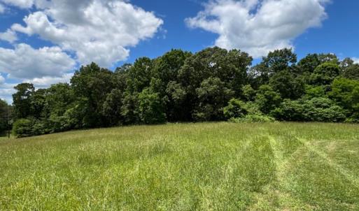 Photo #21 of 1151 Union Hill Road, Amherst, VA 1.3 acres
