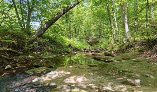 Photo #8 of 404 Old Farm Road, Spout Spring, VA 25.1 acres