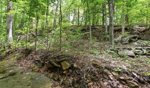 Photo #12 of 404 Old Farm Road, Spout Spring, VA 25.1 acres