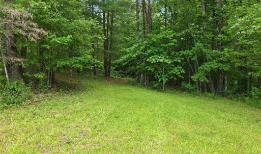 Photo #80 of 404 Old Farm Road, Spout Spring, VA 25.1 acres