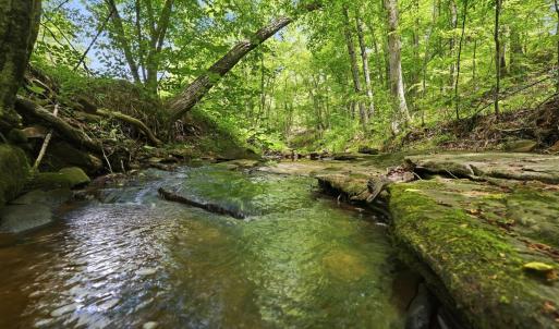 Photo #11 of 404 Old Farm Road, Spout Spring, VA 25.1 acres