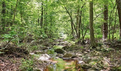 Photo #10 of 404 Old Farm Road, Spout Spring, VA 25.1 acres