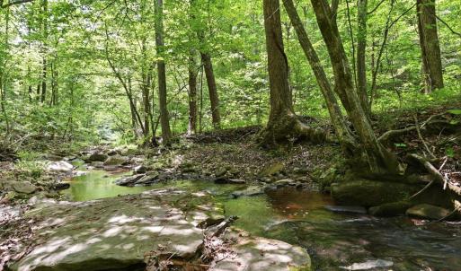 Photo #9 of 404 Old Farm Road, Spout Spring, VA 25.1 acres