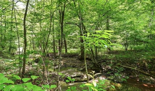 Photo #7 of 404 Old Farm Road, Spout Spring, VA 25.1 acres