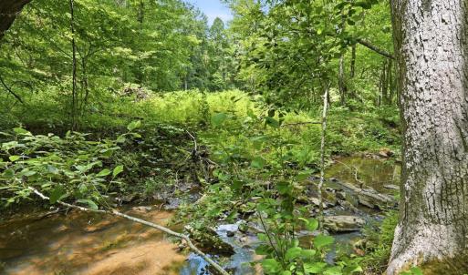 Photo #6 of 404 Old Farm Road, Spout Spring, VA 25.1 acres
