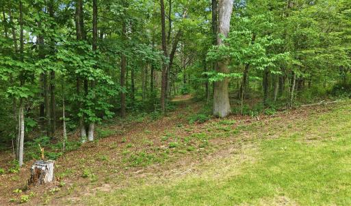 Photo #85 of 404 Old Farm Road, Spout Spring, VA 25.1 acres