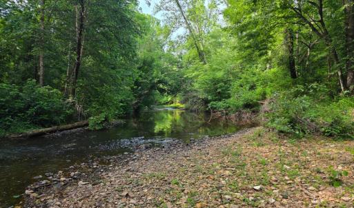 Photo #78 of 1408 Coleman Mountain Road, Appomattox, VA 23.6 acres