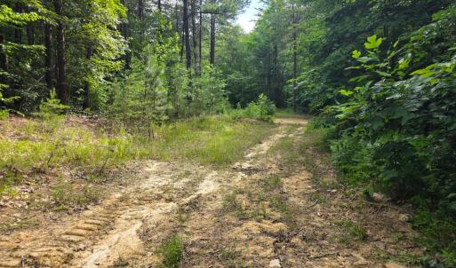 Photo #66 of 1408 Coleman Mountain Road, Appomattox, VA 23.6 acres