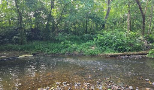 Photo #75 of 1408 Coleman Mountain Road, Appomattox, VA 23.6 acres