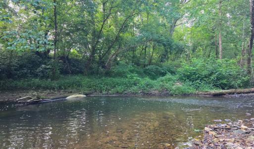 Photo #81 of 1408 Coleman Mountain Road, Appomattox, VA 23.6 acres