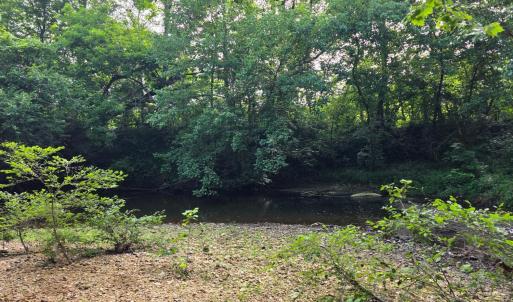 Photo #84 of 1408 Coleman Mountain Road, Appomattox, VA 23.6 acres