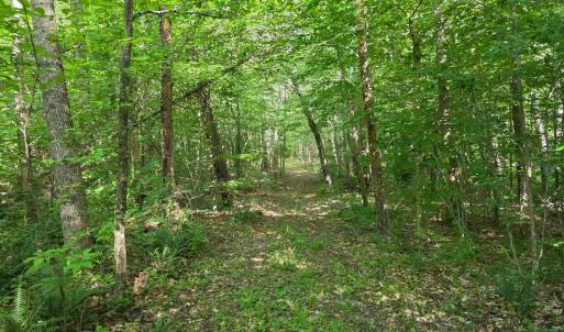 Photo #86 of 1408 Coleman Mountain Road, Appomattox, VA 23.6 acres