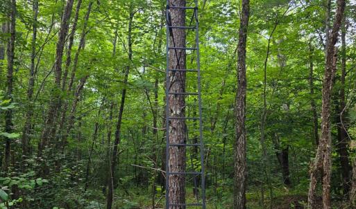 Photo #69 of 1408 Coleman Mountain Road, Appomattox, VA 23.6 acres
