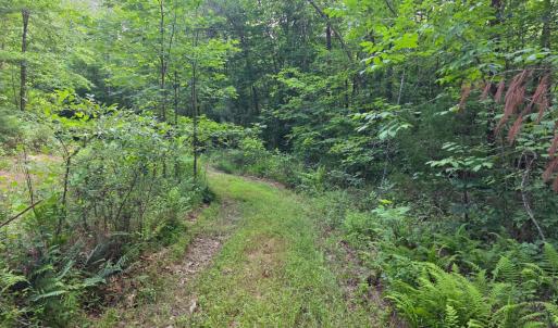 Photo #70 of 1408 Coleman Mountain Road, Appomattox, VA 23.6 acres