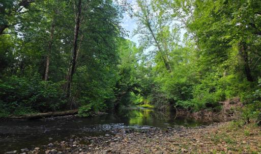 Photo #80 of 1408 Coleman Mountain Road, Appomattox, VA 23.6 acres