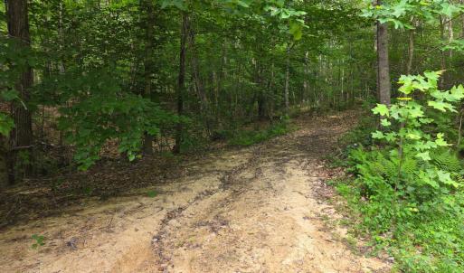 Photo #65 of 1408 Coleman Mountain Road, Appomattox, VA 23.6 acres