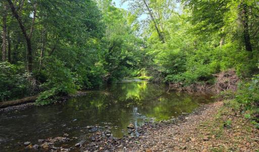 Photo #74 of 1408 Coleman Mountain Road, Appomattox, VA 23.6 acres