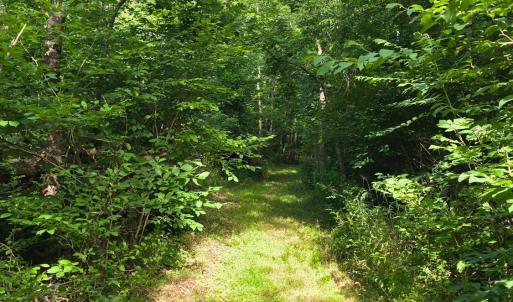 Photo #85 of 1408 Coleman Mountain Road, Appomattox, VA 23.6 acres