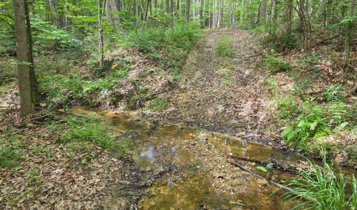 Photo #67 of 1408 Coleman Mountain Road, Appomattox, VA 23.6 acres