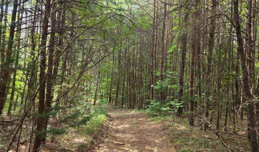 Photo #63 of 1408 Coleman Mountain Road, Appomattox, VA 23.6 acres