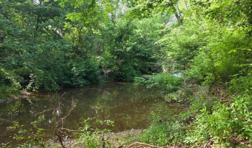 Photo #83 of 1408 Coleman Mountain Road, Appomattox, VA 23.6 acres
