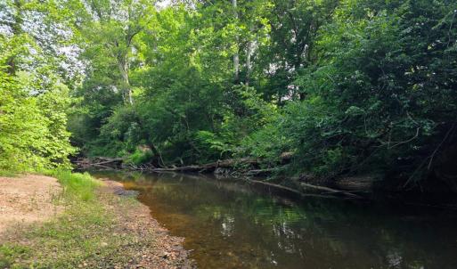 Photo #77 of 1408 Coleman Mountain Road, Appomattox, VA 23.6 acres