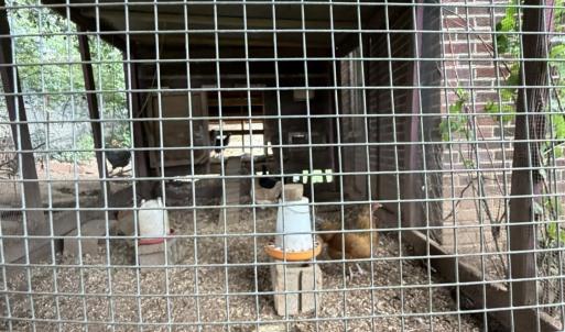 Photo #64 of 1212 Saint Cloud Avenue, Lynchburg, VA 0.2 acres