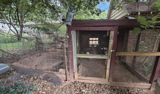 Have you ever considered enjoying Fresh Eggs? Chickens do not convey.