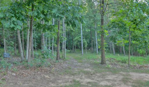Photo #71 of 6481 Stewartsville Road, Moneta, VA 4.8 acres