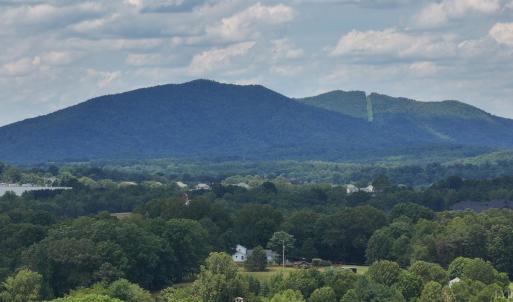 Photo #60 of 213 Big Maple Dr., Forest, VA 3.6 acres