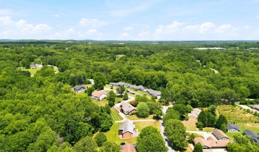 Photo #51 of 419 Holly Hills Drive, Altavista, VA 0.7 acres